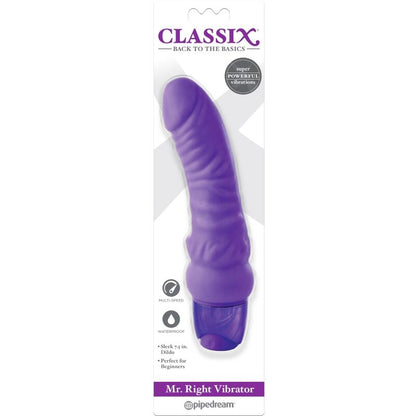 Gode ​​Vibrant Mr. Right Multi-Speed ​​15,5 Cm Violet